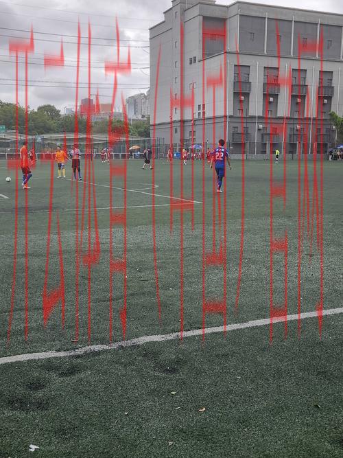 皇冠体育地址在哪里, 探寻皇冠体育的真实地址与最新信息