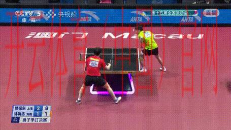 皇冠乒乓球体育比分, 全面解析皇冠乒乓球比赛数据，助你洞察赛场动态